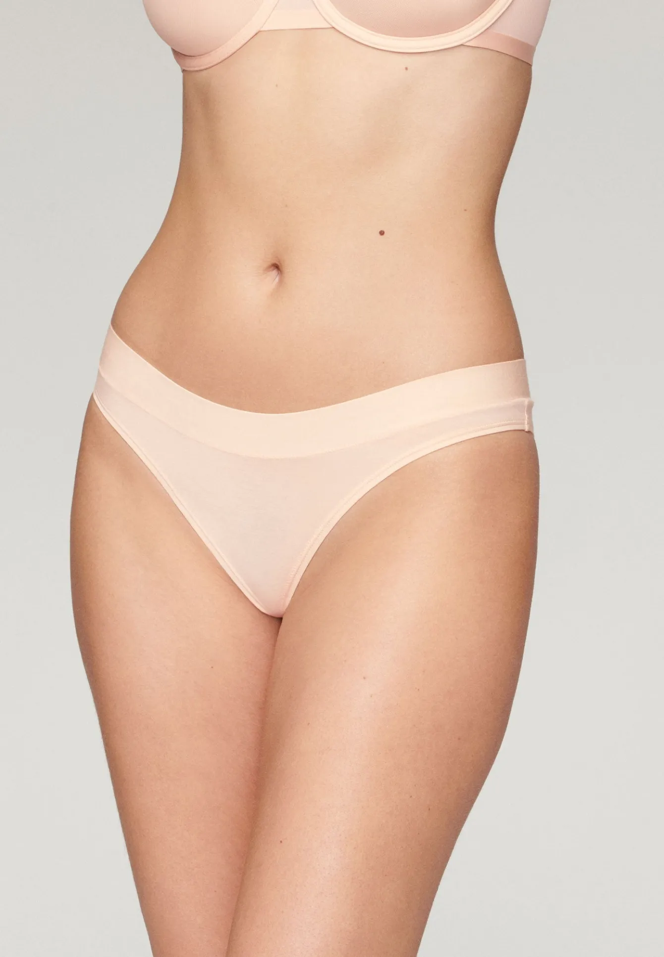 The Bikini - Modal