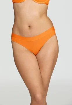 The Bikini - Modal